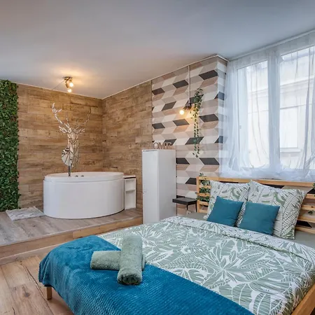 Le Scandinave Lägenhet Saint-Etienne (Loire)