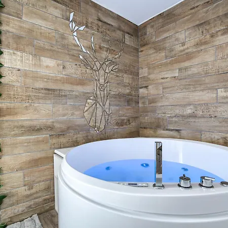 Apartment Le Scandinave Saint-Etienne (Loire)