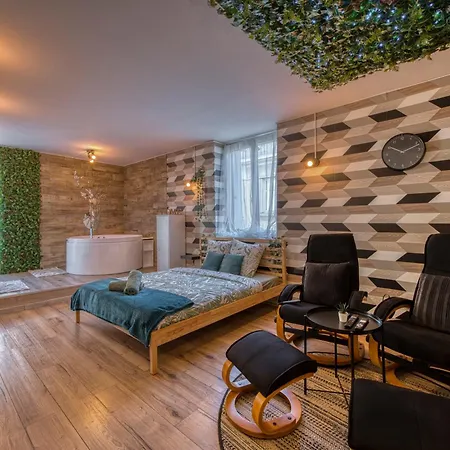 Le Scandinave Saint-Etienne (Loire)