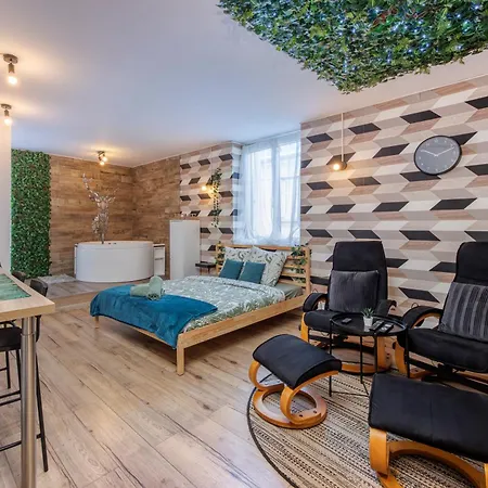 Le Scandinave Saint-Etienne (Loire)