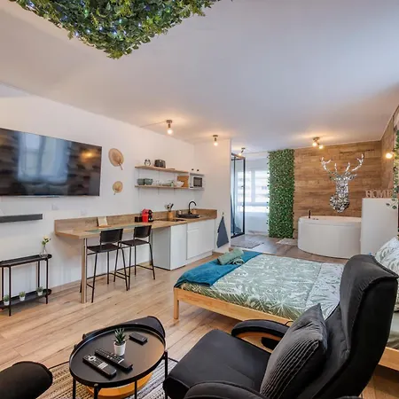 Le Scandinave Saint-Etienne (Loire)