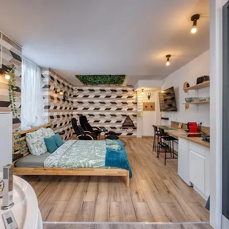 Apartment Le Scandinave Saint-Etienne (Loire)